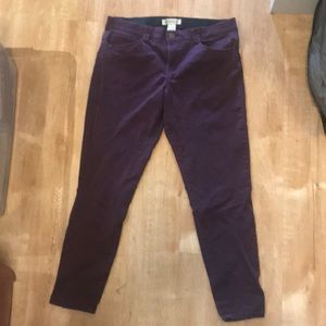 Democracy Jeans Elastic Waistband